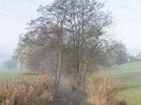 Nebelstimmung am Schafelbach nahe Moorbad - Aschau